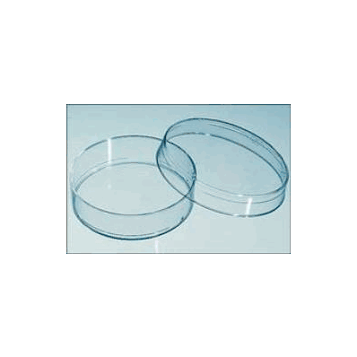 Petri Dish Bd Falcon Polystyrene - Dish, Pet