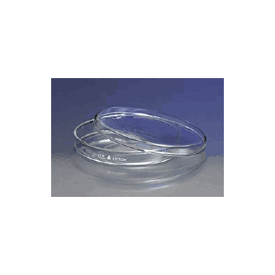 Petri Dish Pyrex - Dish, Petri Pyrex Reusable