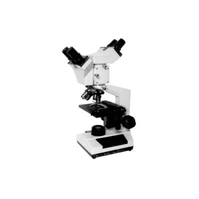 Physician And University Microscope Revelatio