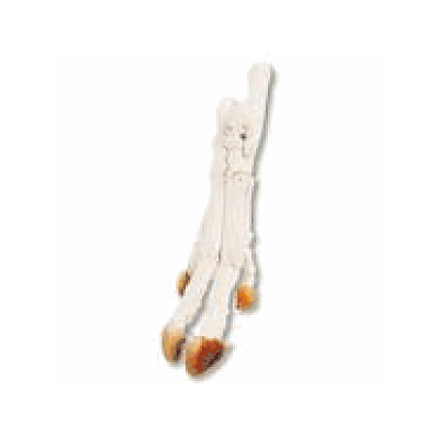 Pig Foot