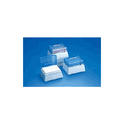 Pipette Tip Eppendorf 0.5 - 20 l - Tip, Epp