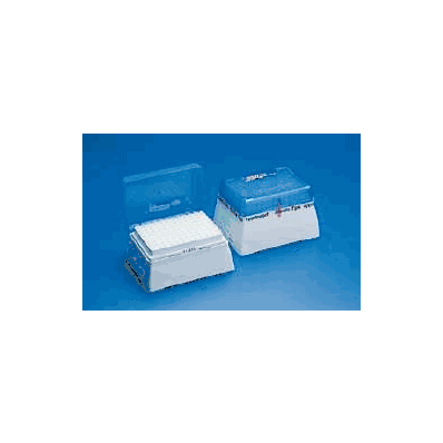 Pipette Tip Eppendorf 50 - 1000 l - Tip, Pi