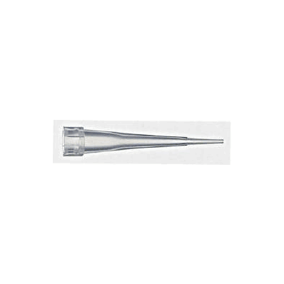 Pipette Tip Fisherbrand 0.1 - 10 l Sterile
