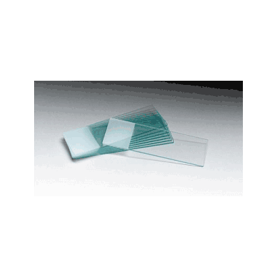 Plain Microscope Slides By Tech-med Services
