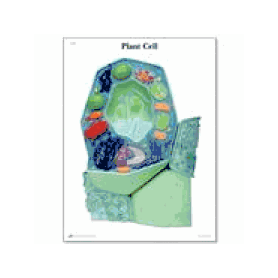 Plant Cell STICKYchart
