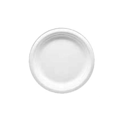 Plate Basix White Disposable Foam - Plate, S