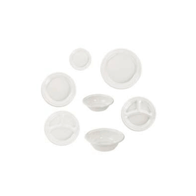 Plate White Disposable Plastic - Plate, Wht I