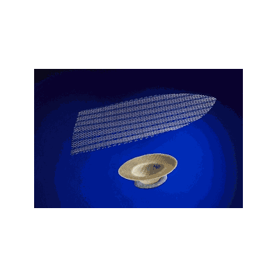 Plug, Hernia, Ultrapro, Large - Medline