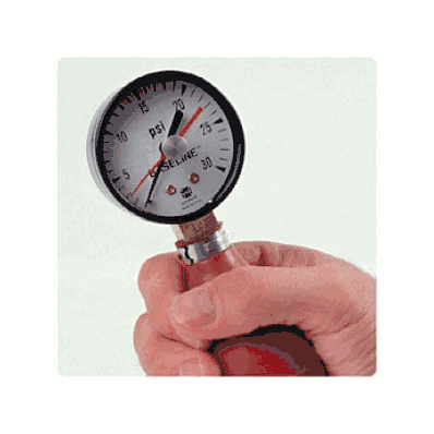Pneumatic Squeeze Bulb/30 Psi