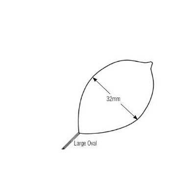 Polypectomy Snare, Large, Oval Loop