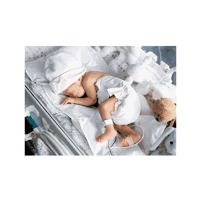 Porta Warm Mattress By Cardinal Health - MatT