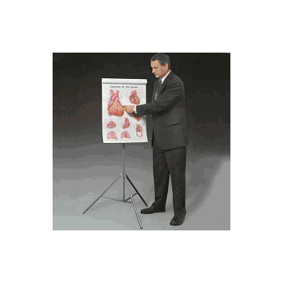 Portable Anatomical Chart Set - Chart Set, Fl