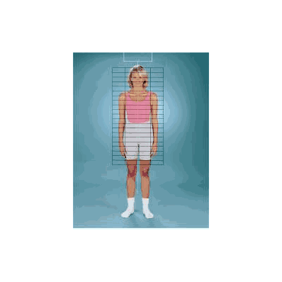 Posture Grid Baseline - Posture Grid, Baseli