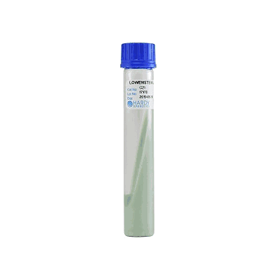Prepared Media, 10 mL, 20 X 125 mm Slant Tube Format Lowenstein-Jensen Medium