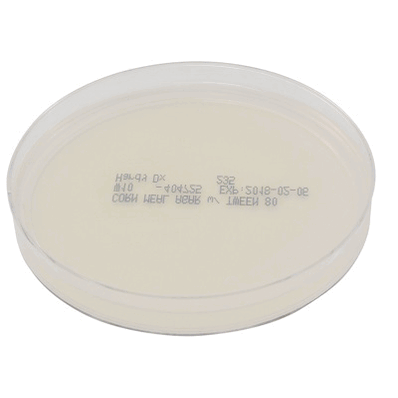 Prepared Media, 15 X 100 mm Deep Fill Plate Format Corn Meal Agar with Tween 80
