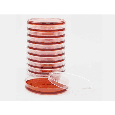 Prepared Media, 15 x 100 mm Mono-Plate Format Burkholderia cepacia Selective Agar