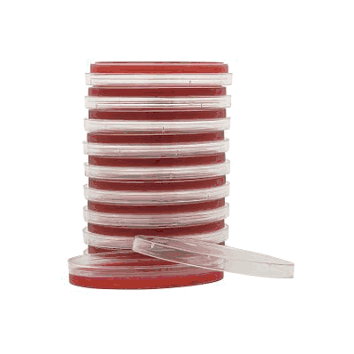 Prepared Media, 15 x 100 mm Petri Plate, Columbia Naladixic Acid Agar (CNA)