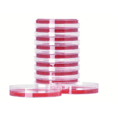 Prepared Media, 15 x 100 mm Petri Plate Format Brucella Blood Agar with Hemin and Vitamin K