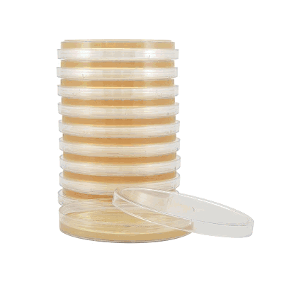 Prepared Media, 15 X 100 mm Petri Plate Tryptic Soy Agar (TSA)
