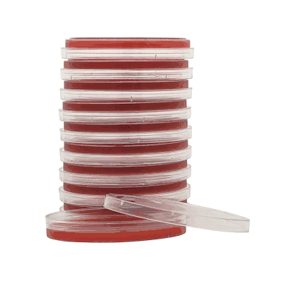 Prepared Media, 15 x 100 mm Tryptic Soy Agar (TSA) with 5% Sheep Blood