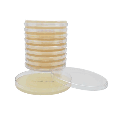 Prepared Media, 15 x 150 mm Petri Plate Mueller Hinton Agar