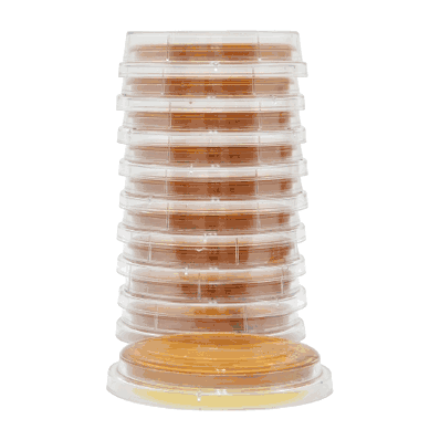 Prepared Media, 15 x 65 mm Mono-Plate Malt Extract Agar with Lecithin and Tween