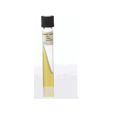 Prepared Media, 16 X 100 mm, 5.5 mL Slant Tube Format Brain Heart Infusion (BHI)