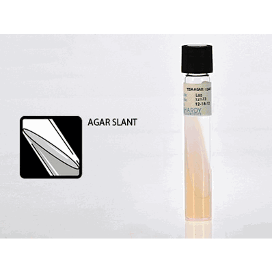 Prepared Media, 16 X 100 mm, 5.5 mL Slant Tube Format Tryptic Soy Agar (TSA)