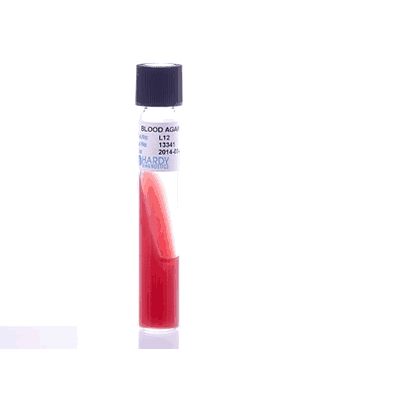 Prepared Media, 16 X 100 mm, 5.5 mL Slant Tube Format Tryptic Soy Agar (TSA)