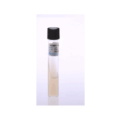Prepared Media, 16 x 100 mm Slant Tube Format Nutrient Agar