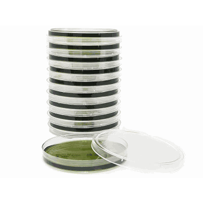 Prepared Media, 18 mL, 15 X 100 mm Petri Plate Hektoen Enteric Agar