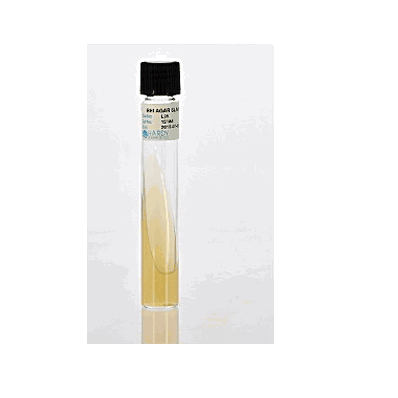 Prepared Media, 20 X 125 mm Slant Tube Format, Brain Heart Infusion (BHI) Agar