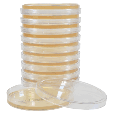 Prepared Media, 26 mL, 15 X 100 mm Deep Fill Plate Format Tryptic Soy Agar (TSA)