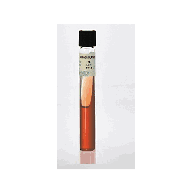 Prepared Media, 4 mL, 13 x 100 mm Slant Tube Format TSI (Triple Sugar Iron) Agar
