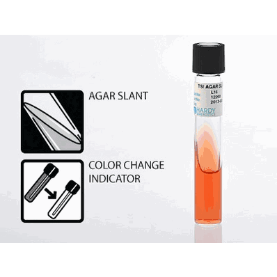 Prepared Media, 6 mL, 16 x 100 mm Slant Tube Format Triple Sugar Iron Agar