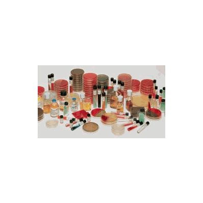 Prepared Media, 8 mL Pour Tube Thioglycollate Medium