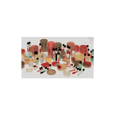Prepared Media, Dermatophyte Test Medium Modified with Chloramphenicol Slant