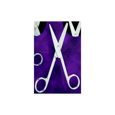 Procedure Scissors 5-1/2 Inch 1 Blunt Tip, 1