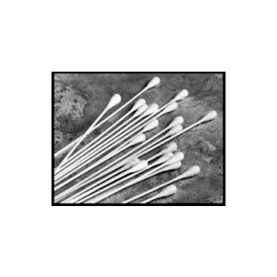 Proctoscopic Swabstick Fox Rayon Tip Plastic