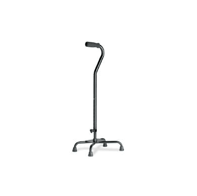 Quad Cane Guardian? Aluminum 29-1/2 To 38-1/2
