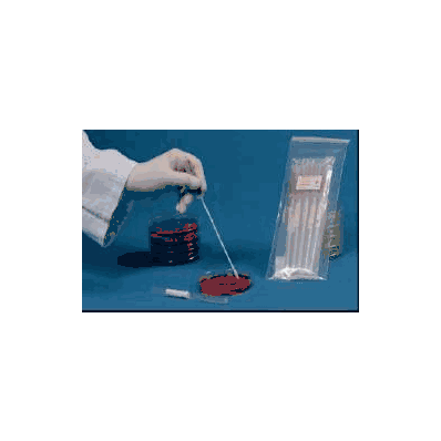 Quality Control Organism Culti-swab Streptoc