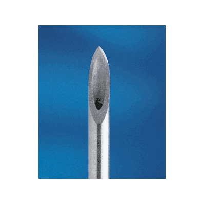 Quincke Spinal Needle By Becton-dickinson - N