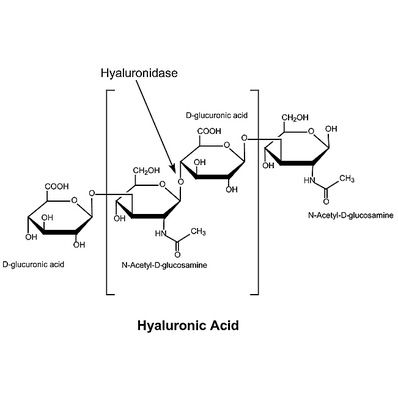 R&D Enzyme, Hyaluronidase Type I-s, Bovine Te