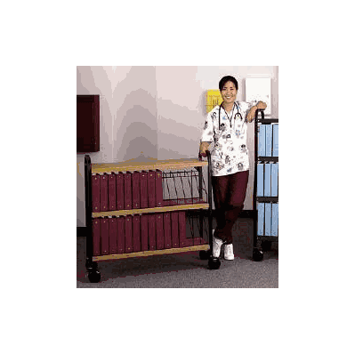 Rack, Chart Holder 60capacity - - First Heal