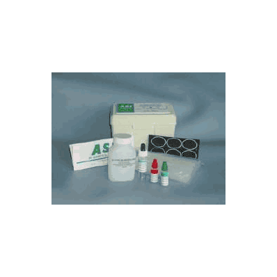 Rapid Diagnostic Test Kit Rheumatoid Factor N
