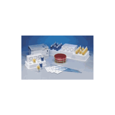 Rapid Test Kit, 100 Tests Card Staphylococcus aureus