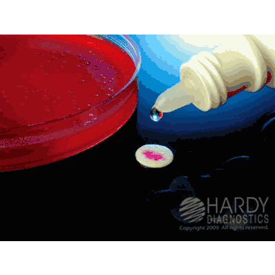 Rapid Test Kit, 100 Tests Microbial Identification Group A Streptococci and Enterococci
