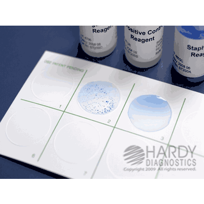 Rapid Test Kit, 2000 Tests Latex Agglutination Test Staphylococcus Aureus Test Card Format
