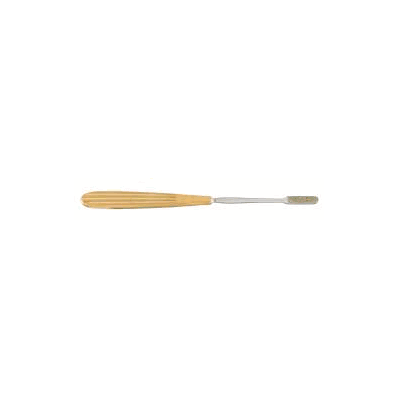 Rasp Carb-n-sert Peet Straight Tip - File, R