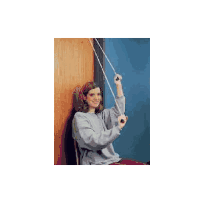 Reciprocal Pulley Sierra Romer - Pulley Syst